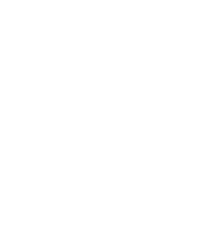 Oil & Filter Change Lube & Grease Service Battery Testing & Replacement Check Air Filter Spark Plugs Tire pressure and Tread Brake Pads Chainsaw Sharpening Mower Blade Sharpening Tire Service Lawn Mowers & Snow Blowers